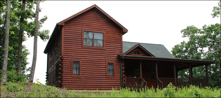 Professional Log Home Borate Application  Franklin County, Virginia